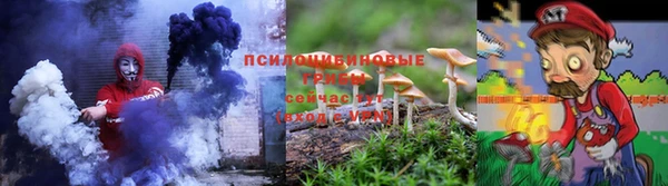 сатива Алексин